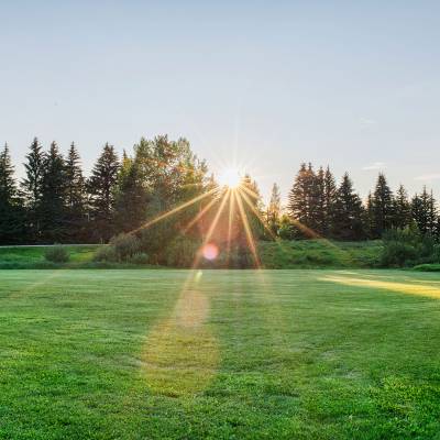 Whitecroft-3